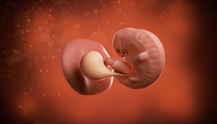 نشانه های سقط جنین در هفته 6 بارداری